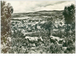 48 .n°39844 . Le Malzieu Ville.vue Generale. Cpsm 15 X 10 Cm . - Autres & Non Classés