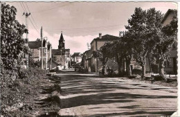 47.STE LIVRADE SUR LOT.RUE DU PONT .CPSM - Autres & Non Classés