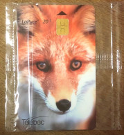 CANADA TÉLÉBEC LAPUCE RENARD FOX 20$ NSB TELEFONKARTE SCHEDA TARJETA PHONECARD CALLING CARD CARTE - Canada