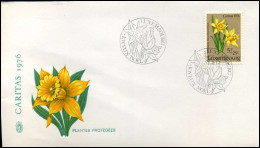 Luxembourg - FDC - Caritas 1976 - FDC