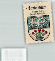 39551121 - Guntersblum - Other & Unclassified