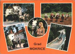 72109555 Slovenia Slowenien Grad Mokrice Pferde Slovenia Slowenien - Slovenië