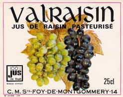 ALIMENTATION ETIQUETTES JUS DE RAISIN VALRAISIN SAINTE FOY DE MONTGOMMERY 7 X 9 CM - Limonades & Frisdranken