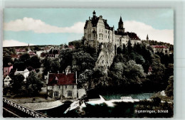 52266821 - Sigmaringen - Sigmaringen