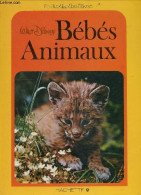 Bebes Animaux - Collection Le Jardin Des Reves - MARY SCHUCHMANN - ROD RUTH - 1978 - Tiere