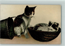 11090421 - Katzen Im Koebchen Schlafen AK - Gatos