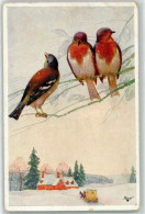 39178821 - Winter Postkutsche AK - Birds