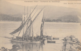 CAVALAIRES (Var): Tartanes Au Mouillage - Cavalaire-sur-Mer