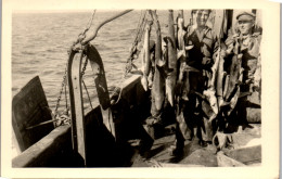 Photographie Photo Vintage Snapshot Amateur Pêche Pêcheur Requin Poisson Bateau - Beroepen