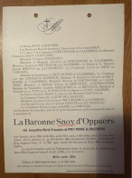 Baronne Snoy D’Oppuers Nee Jacqueline De Pret-Roose De Calesberg *1867 Anvers +1900 Chateau Bois Seigneur Isaac Geelhand - Obituary Notices