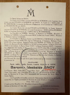 Madame Marie Baronne Idesbalde Snoy *1851 Bruxelles +1921 Chateau De Beernem De T’Serclaes De Wommersom Van Der Stegen D - Obituary Notices