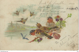 FANTAISIE - OISEAU - FEUILLES - LIBELLULE ( Cachet Postal " LAGNIEU - Ain " 1906 Timbre Semeuse Lignée ) - Autres & Non Classés