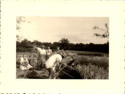 Photographie Photo Vintage Snapshot Amateur Paysan Agriculteur Moisson  - Métiers