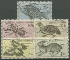 Tschechoslowakei 1955 Tiere Karpfen, Hirschkäfer, Feldhase 925/29 Gestempelt - Used Stamps