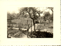 Photographie Photo Vintage Snapshot Amateur Jardin Potager Jardinier  - Profesiones