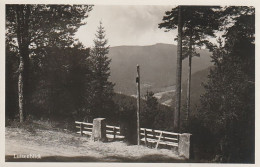 AK Zwieselburg - Luisenblick - 1940 (69659) - Freudenstadt