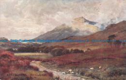 R132608 Argyllshire. Ben Cruachan. Tuck. Oilette - World