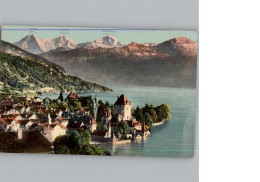 50333021 - Oberhofen Am Thunersee Laengenschachen - Andere & Zonder Classificatie