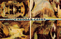 R133400 Cheddar Caves. Multi View. Salmon - Mundo