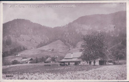 Villars Sur Clarens VD, Ferme Et Champ De Narcisses (5547) - Andere & Zonder Classificatie