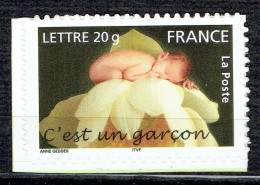 Timbre De Naissances : "C'est Un Garçon" - Unused Stamps