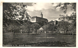 Gundelsheim A. N., Schloss Hornegg - Other & Unclassified