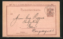 AK Private Stadtpost, Packetfahrtkarte Berlin  - Francobolli (rappresentazioni)