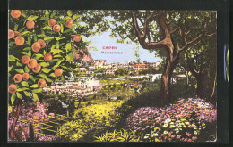 Cartolina Capri, Panorama Mit Orangenbaum  - Altri & Non Classificati