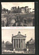 Cartolina Roma, Palatino, Tempio Di Apollo  - Sonstige & Ohne Zuordnung