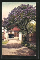 Künstler-AK Photochromie Nr. 4535: Blühender Baum Vor Hofeingang  - Sonstige & Ohne Zuordnung
