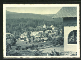 CPA Hohwald, Vue Du Lieu  - Sonstige & Ohne Zuordnung