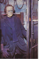 Royal Atlantic Wax Museum Cavendish Prince Edward Island Canada Frankenstein's Monster Cage, Huge Hand Cage Chaines 2 Sc - Museos