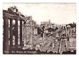 ITALIA // ROMA // FORO ROMANO DAL CAMPIDOGLIO // 1962 - Andere & Zonder Classificatie