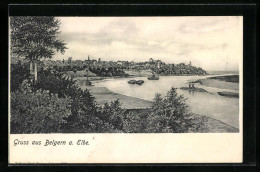 Künstler-AK Belgern A. Elbe, Panorama Mit Fluss  - Belgern