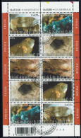 Belgie 2003 - OBP F3174/78° - Mineralen - Oblitérés