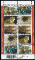 Belgie 2003 - OBP F3174/78° - Mineralen - Minerales