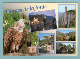 CP 48 - Gorges De La Jonte - Multivues - Sonstige & Ohne Zuordnung