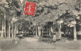 P4-14  HONFLEUR SOUS BOIS SUR LE PLATEAU DE GRACE AVEC COUPLE - Honfleur