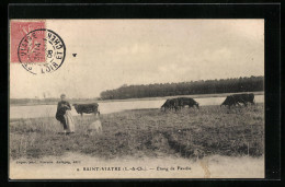 CPA St-Viatre, Etang De Favelle  - Autres & Non Classés