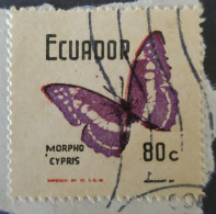 OH) ECUADOR, INSECT -   MORPHO CYPRIS, BUTTERFLY, FRAGMENT - Equateur