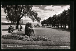 AK Starnberg, Seepromenade Mit Urlaubsgästen  - Starnberg