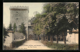 CPA Boisy, La Tour Carrèe  - Autres & Non Classés