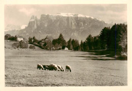 73907371 Schlern Sciliar 2561m Bolzano Dolomiti IT Panorama - Sonstige & Ohne Zuordnung