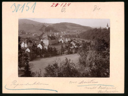 Fotografie Brück & Sohn Meissen, Ansicht Neuhausen Bez. Dresden, Güterbahnhof, Schwitters Blumenfabrik, Ortsansicht  - Orte