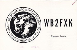 AK 213321 QSL - USA - N.Y. - Horseheads - Radio Amateur