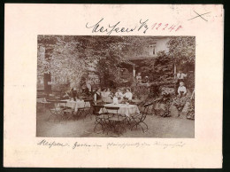 Fotografie Brück & Sohn Meissen, Ansicht Meissen I. Sa., Garten Im Weinschank Zum Winzerhaus  - Orte