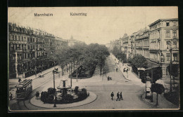 AK Mannheim, Strassenbahn Am Kaiserring  - Strassenbahnen