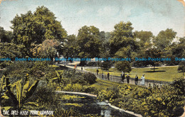 R134856 The Dell Hyde Park. London. 1910 - Autres & Non Classés