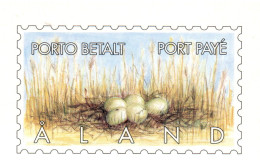 Aland 1997, Bird, Birds, Postal Stationery, Pre-Stamped Post Card, Swan, MNH** - Cisnes