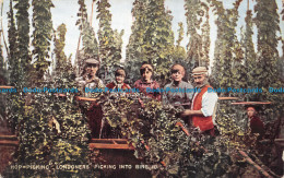 R135390 Hop Picking. Londoners Picking Into Bins. British Production. 1906 - Andere & Zonder Classificatie